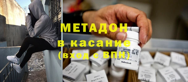 индика Богданович