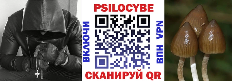 Псилоцибиновые грибы MAGIC MUSHROOMS  Завитинск 
